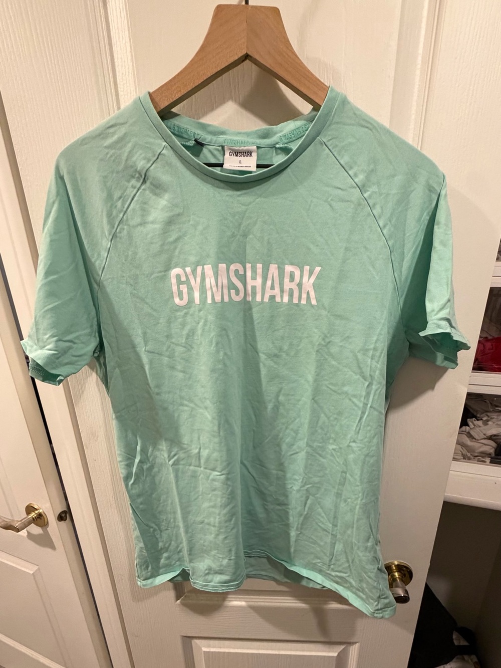Gymshark Men’s Apollo Mint Green Gym Tee L